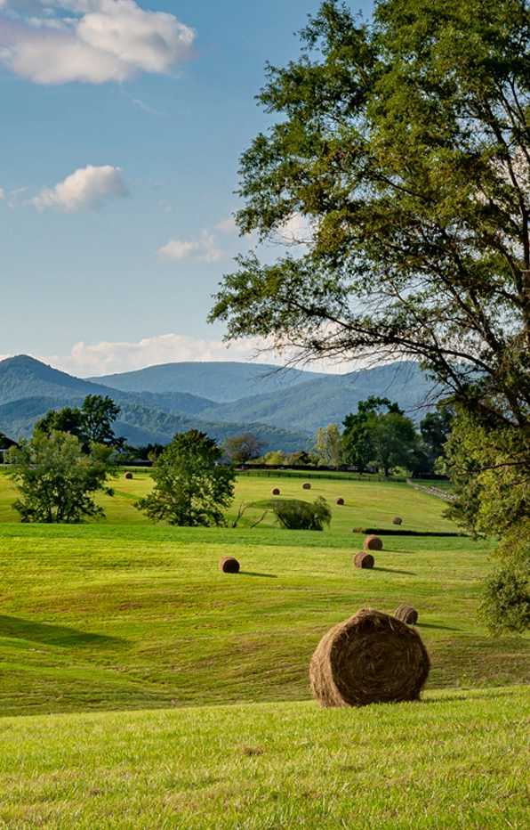 Contattaci per maggiori informazioni