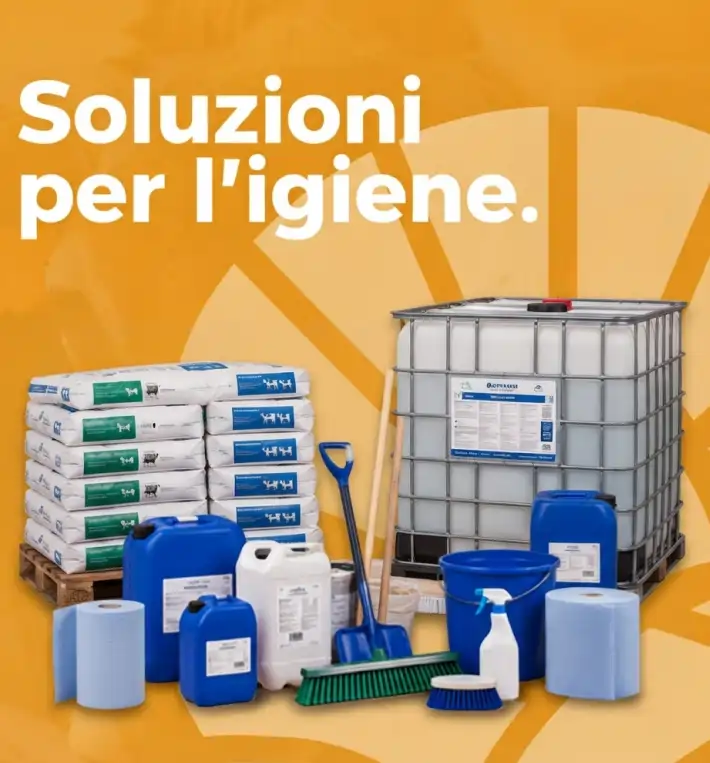 Blocchi e rulli
